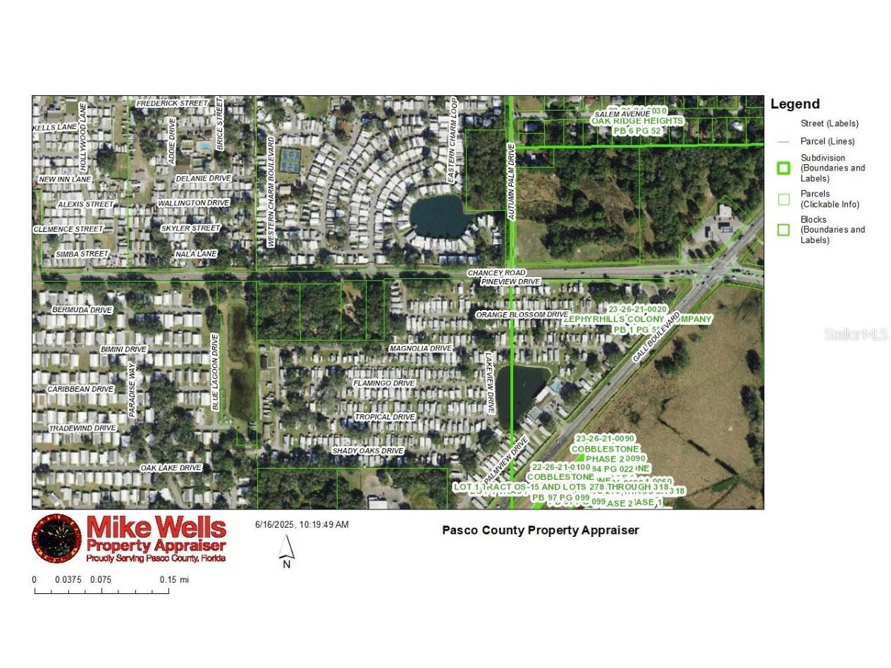 37750 Chancey Road Zephyrhills FL 33541 TB8399794 image1