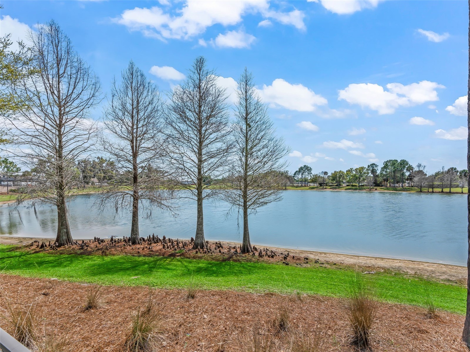 3776 E Torch Lake Drive The Villages FL 32163 G5109815 image63