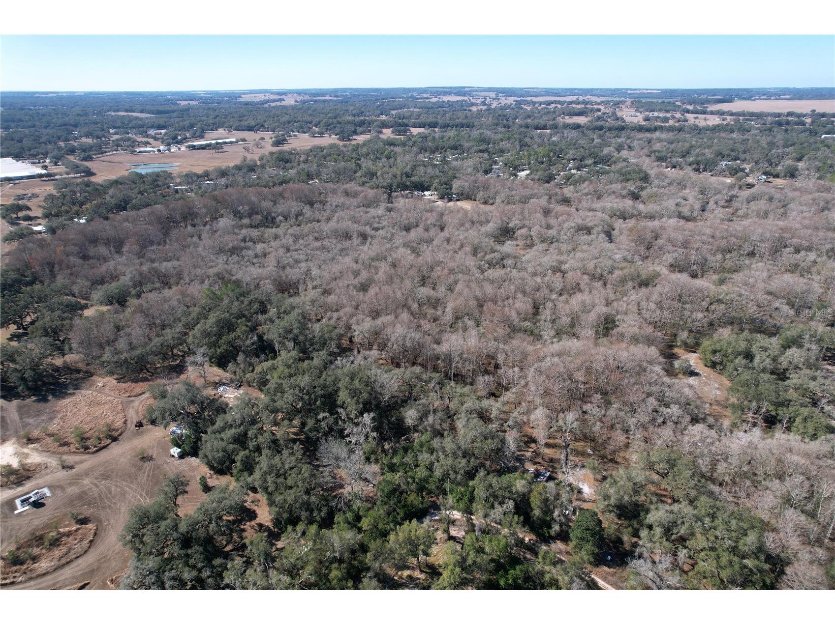 37761 Oak Forrest Drive Dade City FL 33523 TB8475215 image35