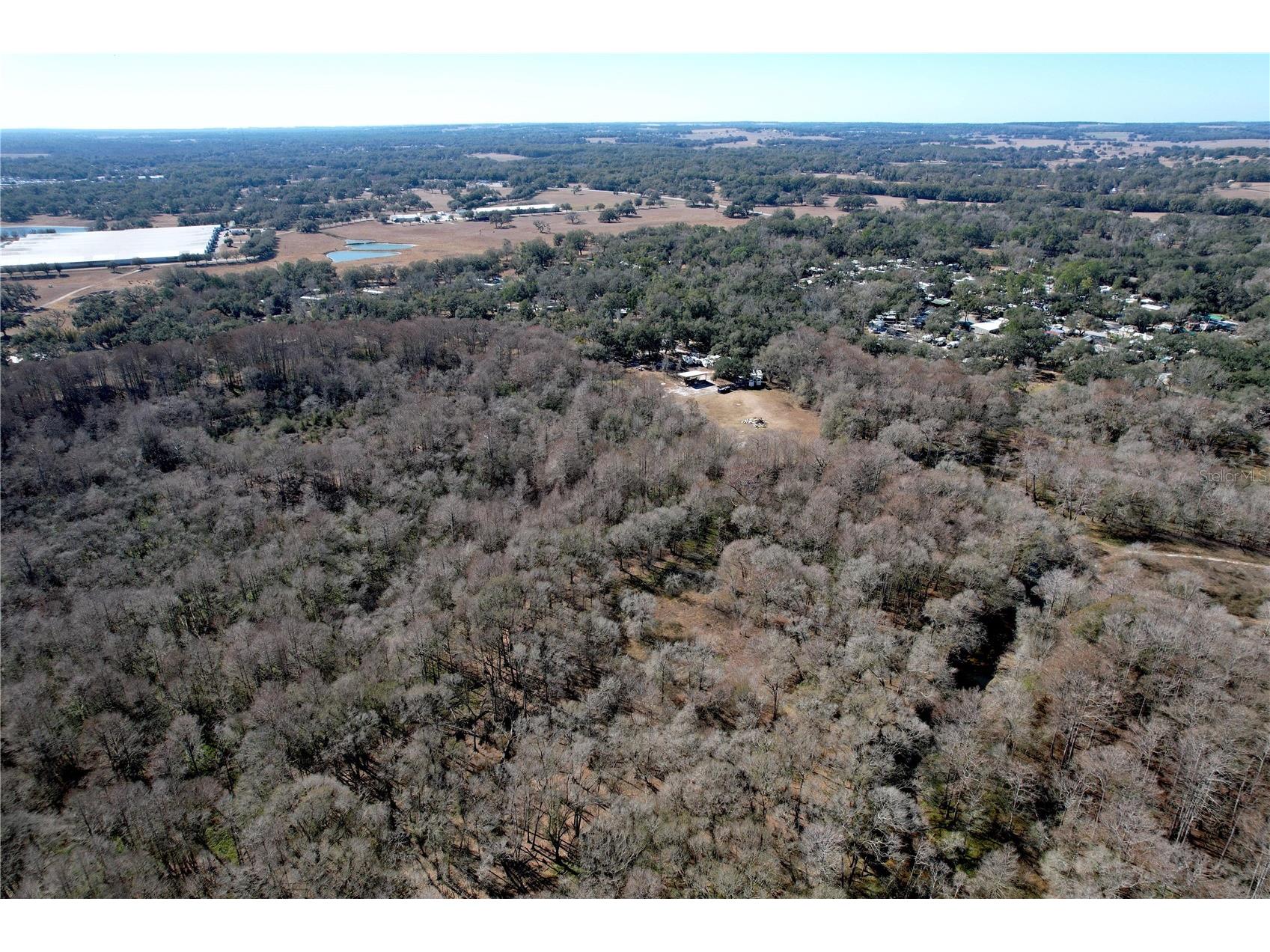 37761 Oak Forrest Drive Dade City FL 33523 TB8475215 image36