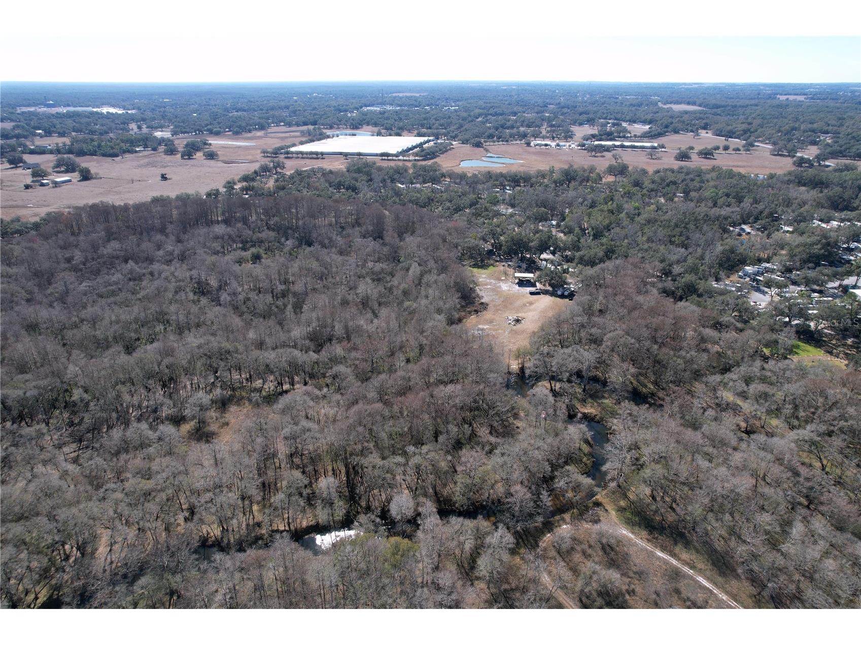 37761 Oak Forrest Drive Dade City FL 33523 TB8475215 image37