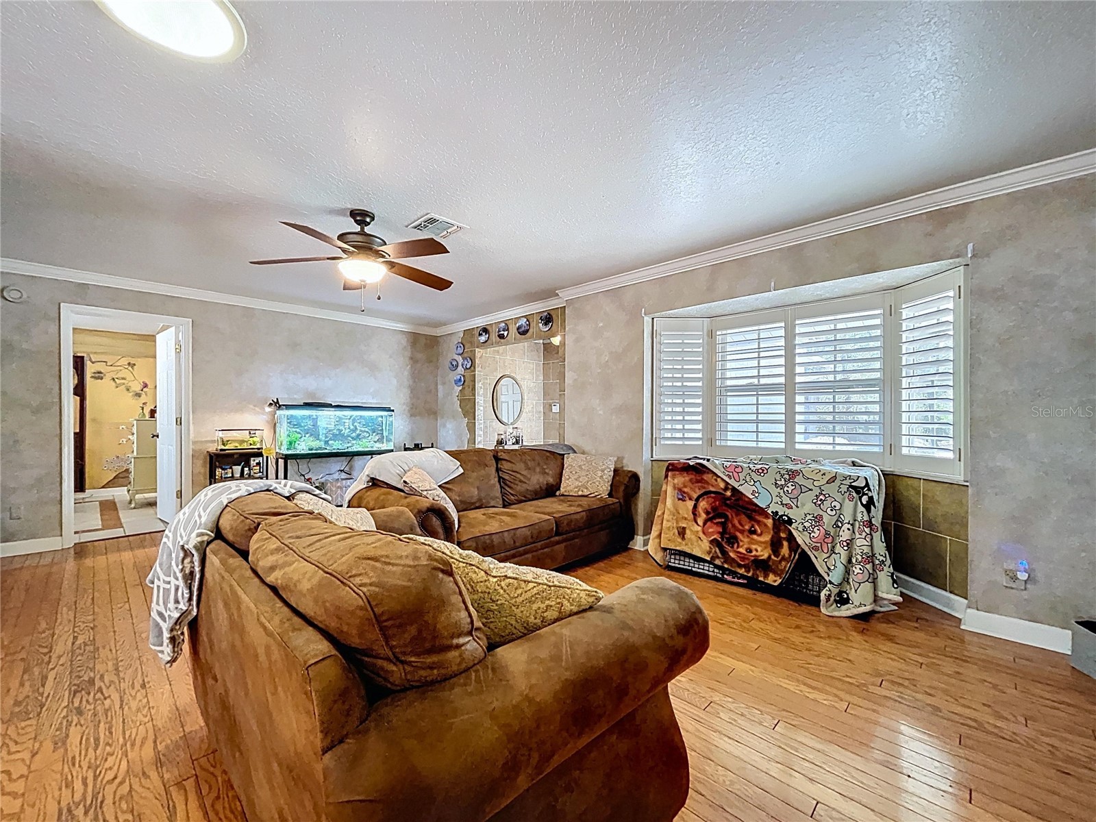 37761 Oak Forrest Drive Dade City FL 33523 TB8475215 image9