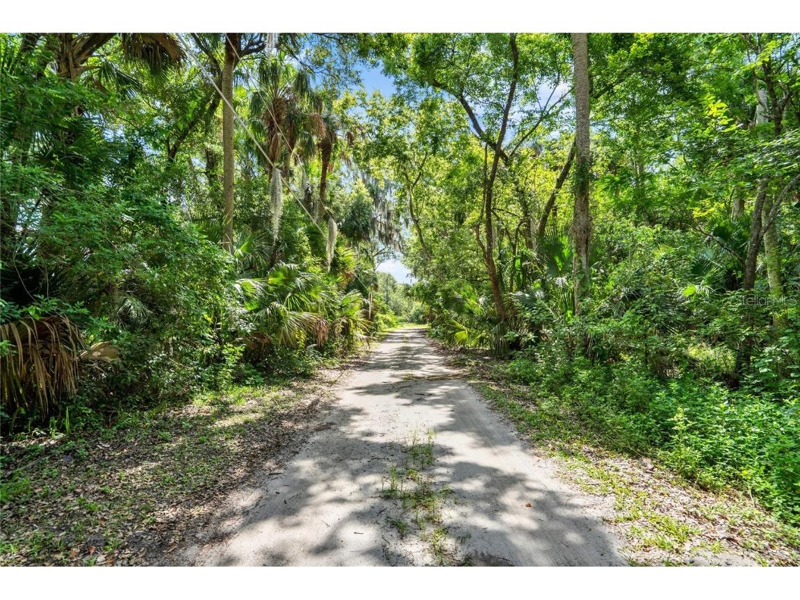 3777 Sipes Avenue Sanford FL 32773 O6322362 image8