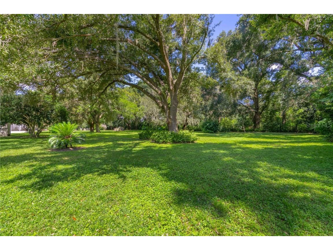 3778 E C-466 Road Oxford FL 34484 G5088589 image17