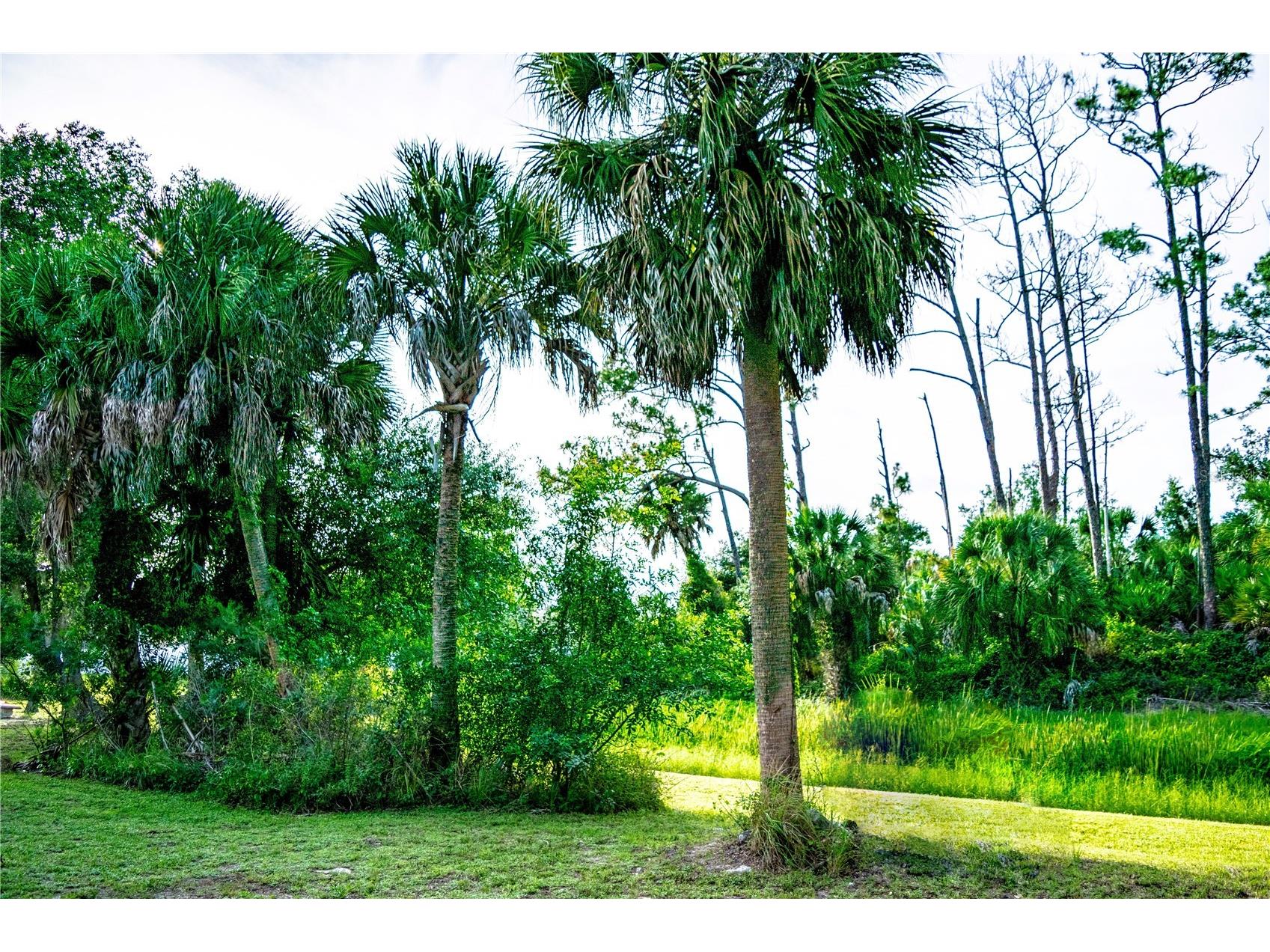 3778 Monfero Avenue North Port FL 34286 N6144757 image21