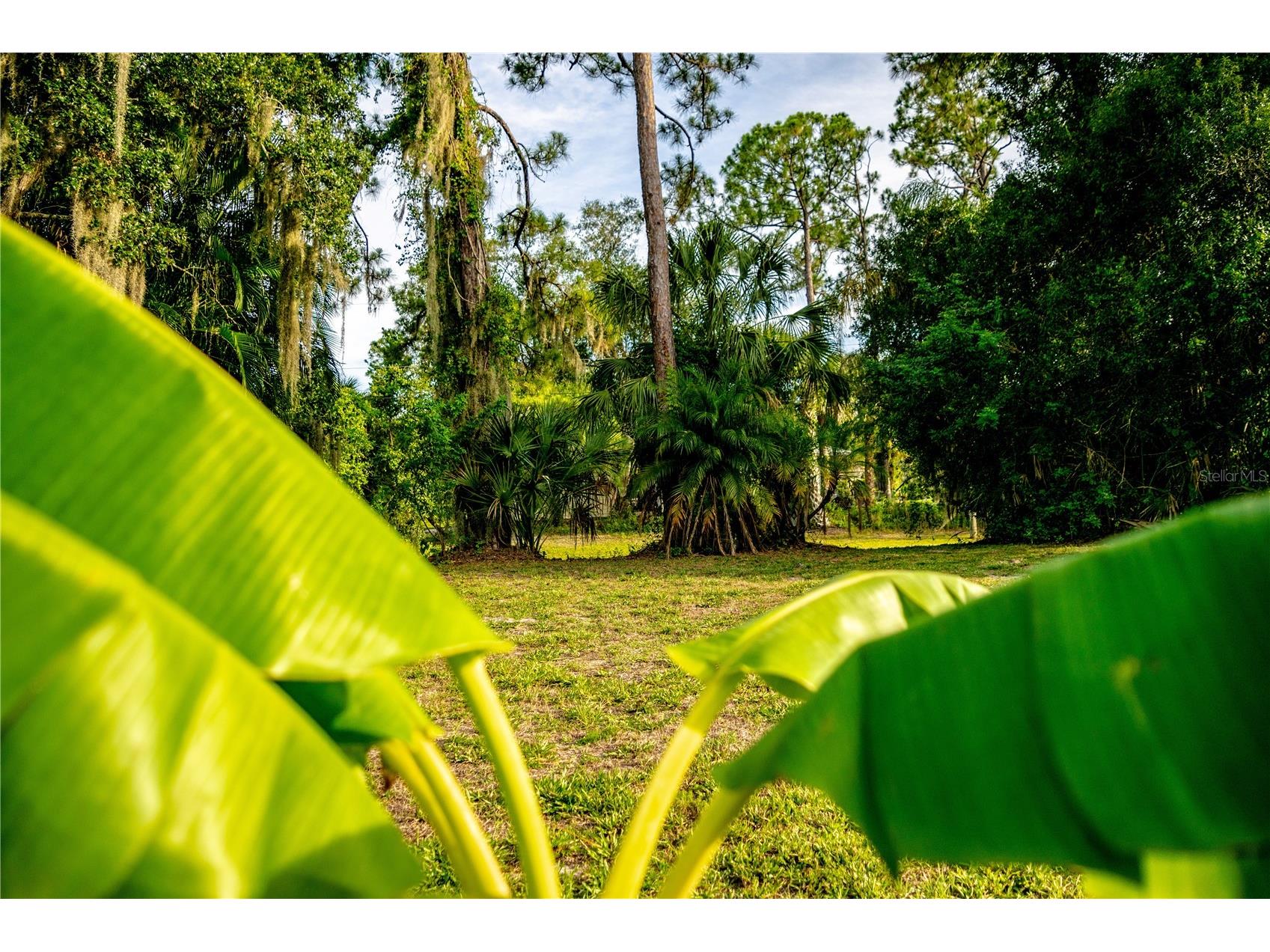 3778 Monfero Avenue North Port FL 34286 N6144757 image4