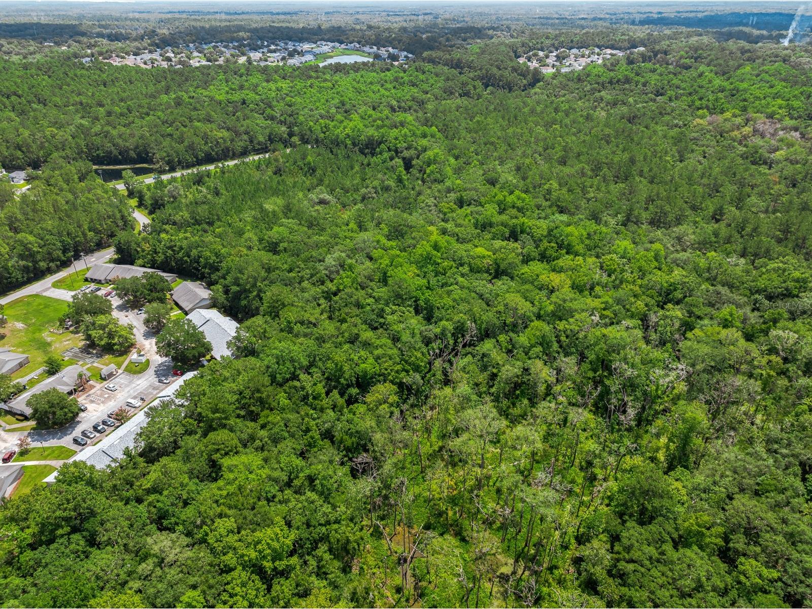3779 County Road 218 Middleburg FL 32068 O6423674 image18