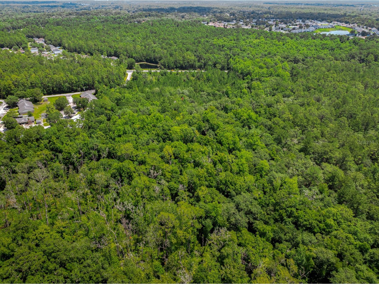 3779 County Road 218 Middleburg FL 32068 O6423674 image20
