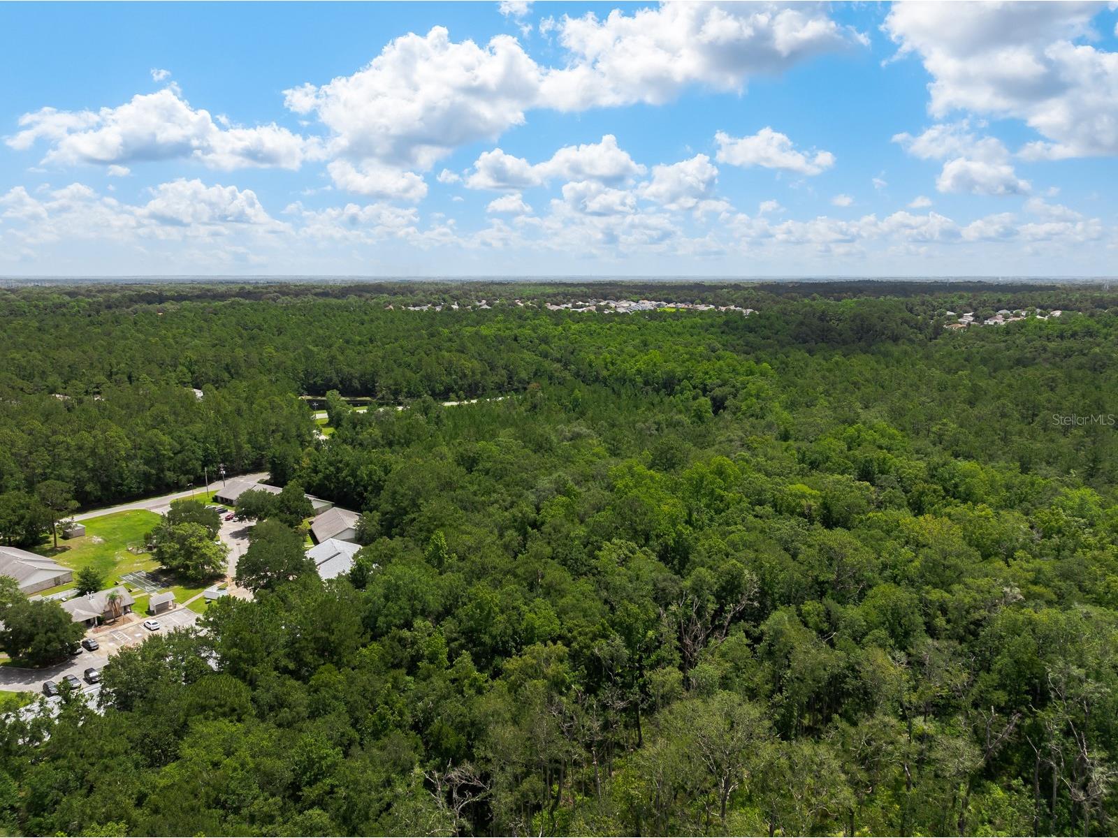 3779 County Road 218 Middleburg FL 32068 O6423674 image4