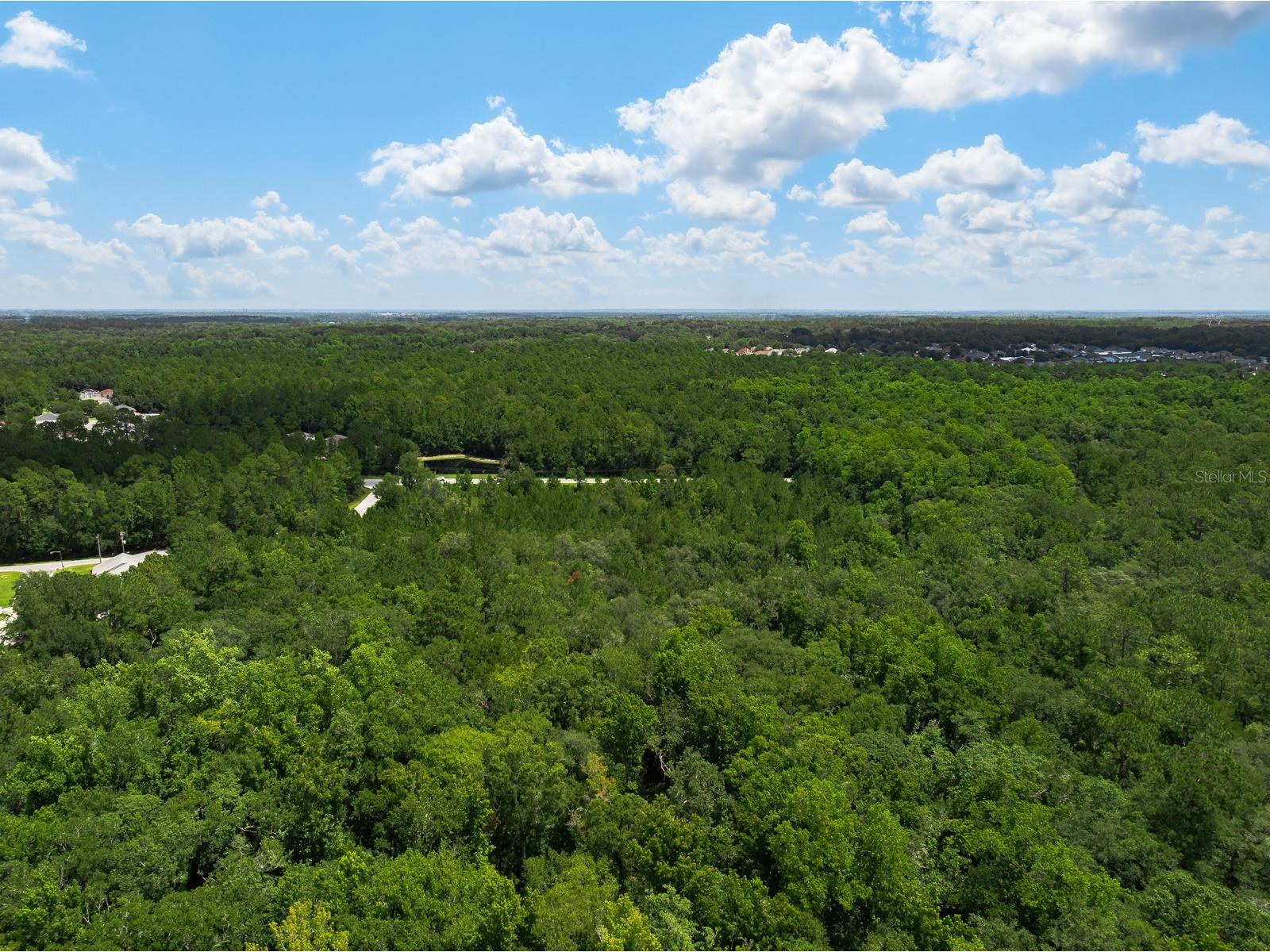 3779 County Road 218 Middleburg FL 32068 O6423674 image5