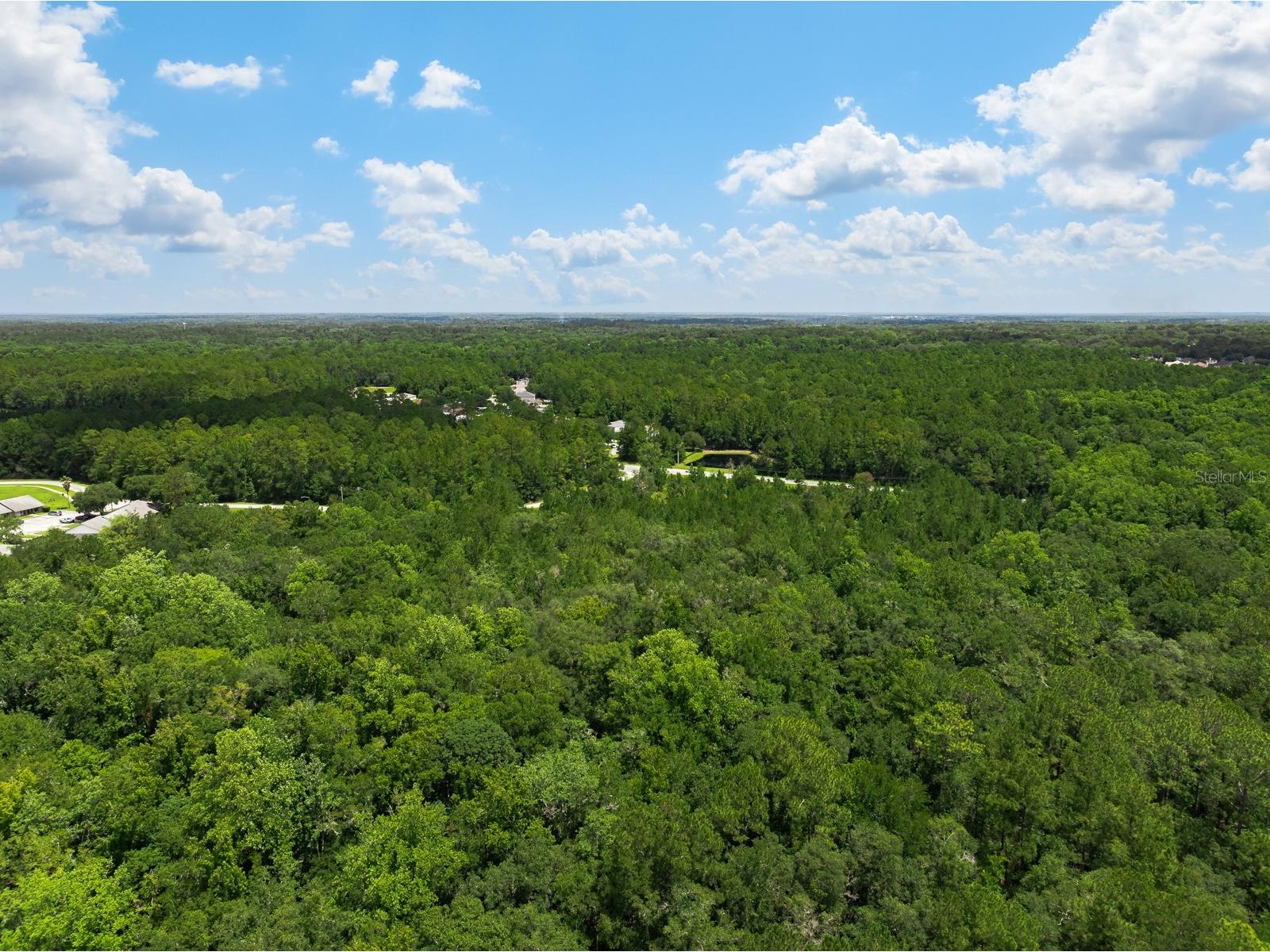 3779 County Road 218 Middleburg FL 32068 O6423674 image6