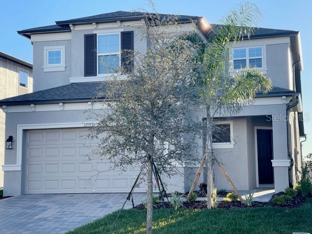 37792 Beacon Brick Drive Zephyrhills FL 33540 T3420237 image1