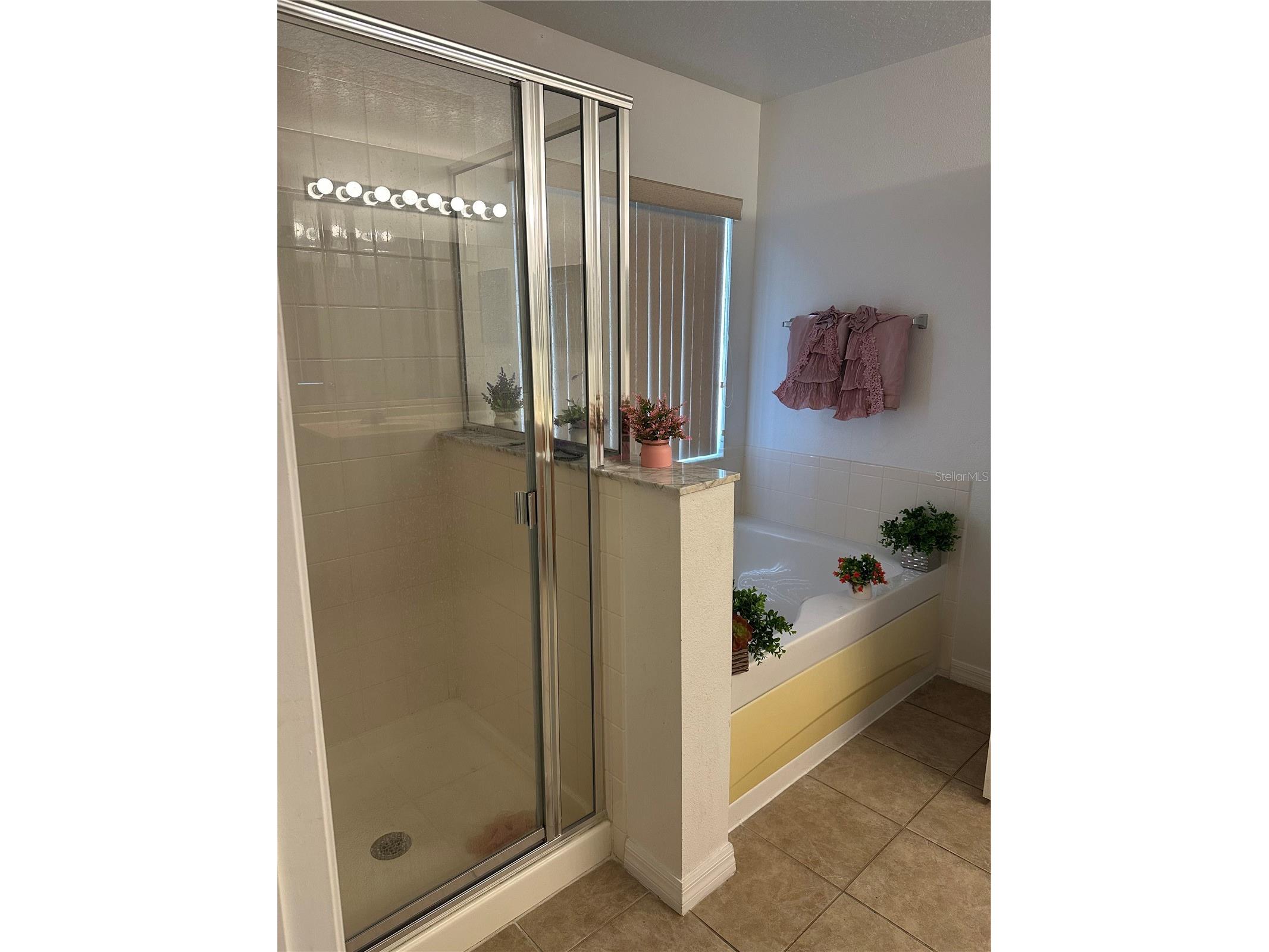 378 Canna Drive Davenport FL 33897 O6388285 image14