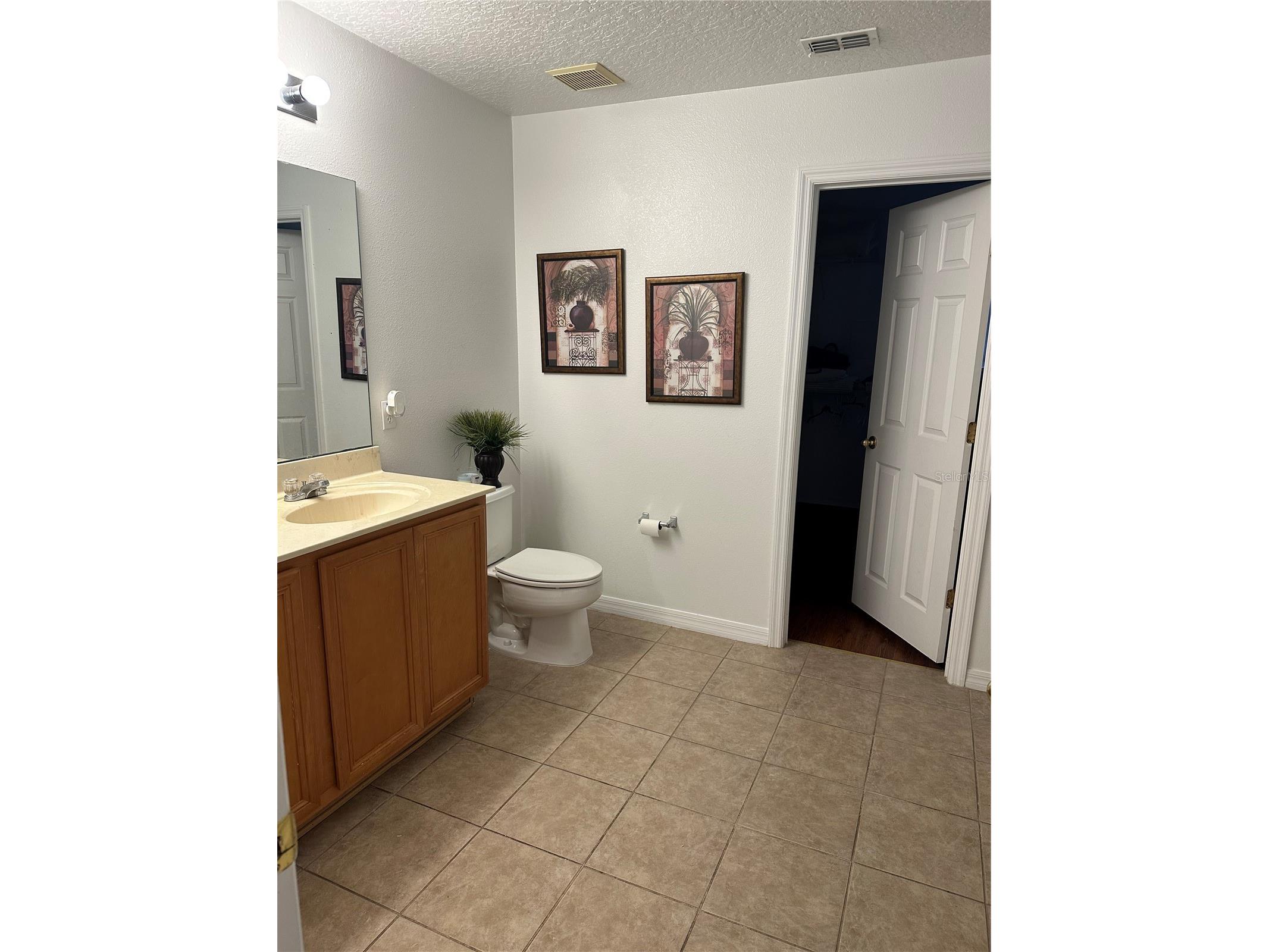 378 Canna Drive Davenport FL 33897 O6388285 image17