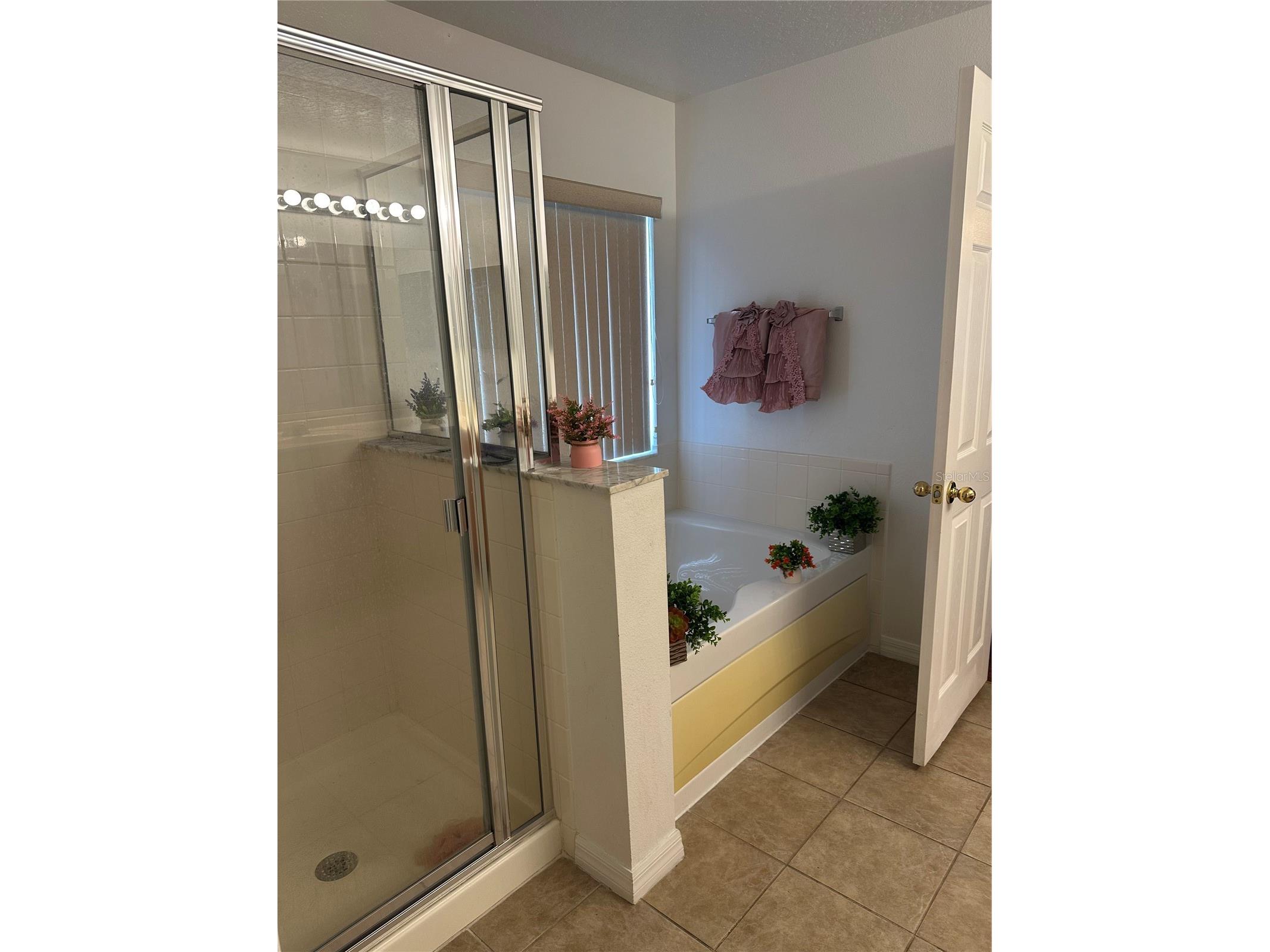 378 Canna Drive Davenport FL 33897 O6388285 image18