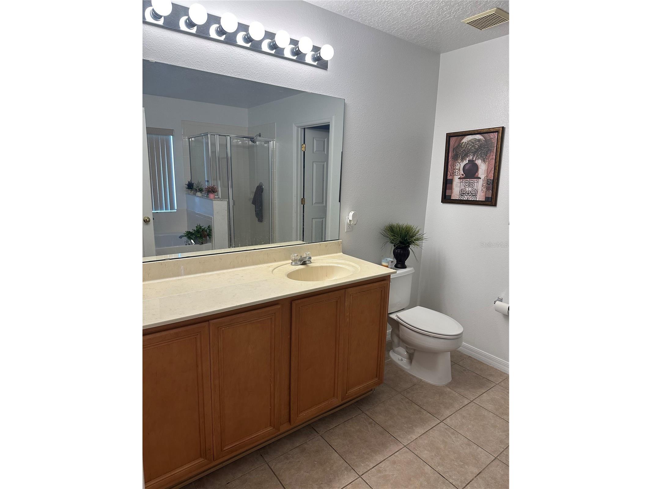 378 Canna Drive Davenport FL 33897 O6388285 image23