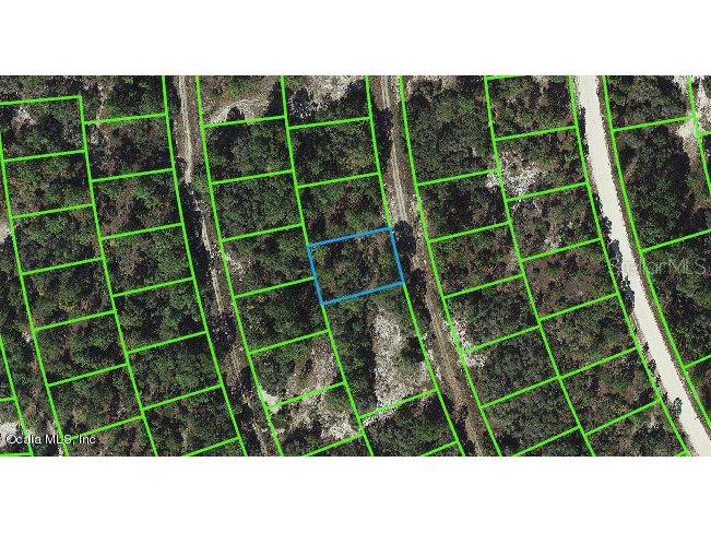 378 Chorale Drive Lake Placid FL 33852 OM542046 image1