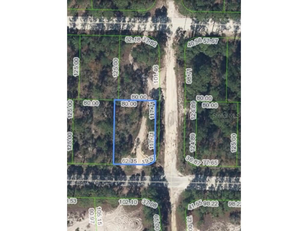 378 Jack Weisser Boulevard Lake Placid FL 33852 O6179745 image1
