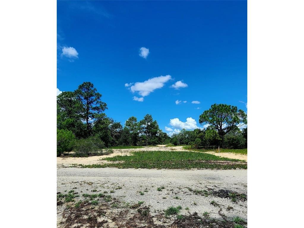 378 Sun Avenue Lake Placid FL 33852 P4930893 image1