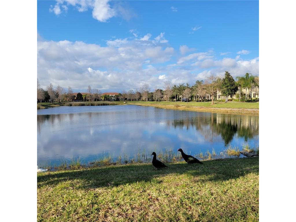 3780 82nd Avenue Circle E #105 Sarasota FL 34243 A4622161 image22