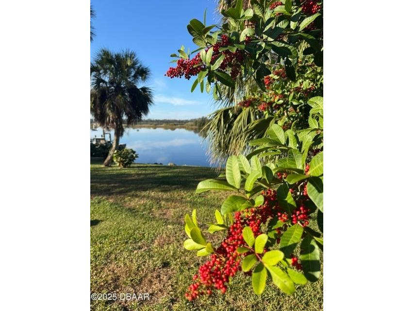 3780 John Anderson Drive Ormond Beach FL 32176 FC314746 image2