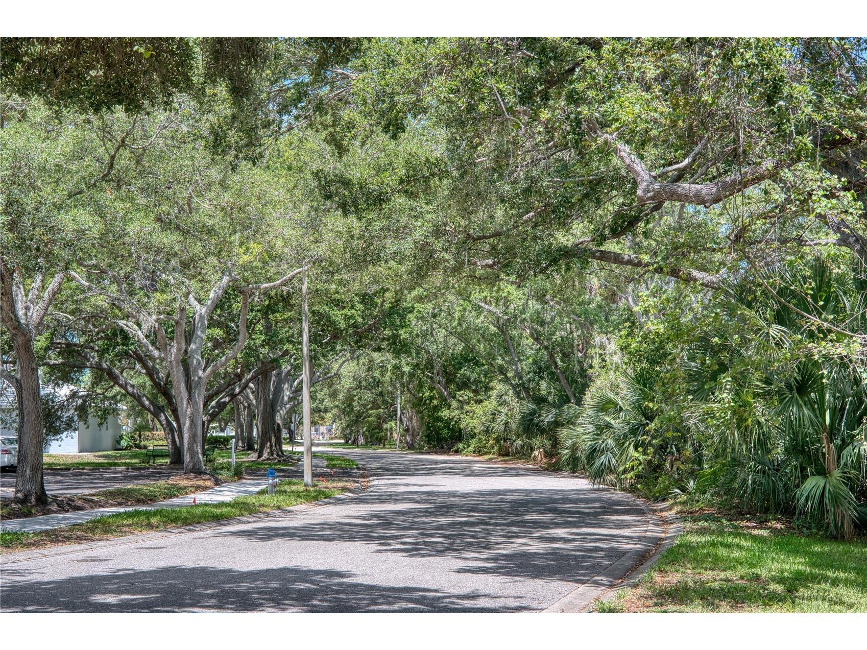 3780 Pinebrook Circle #504 Bradenton FL 34209 A4697022 image29