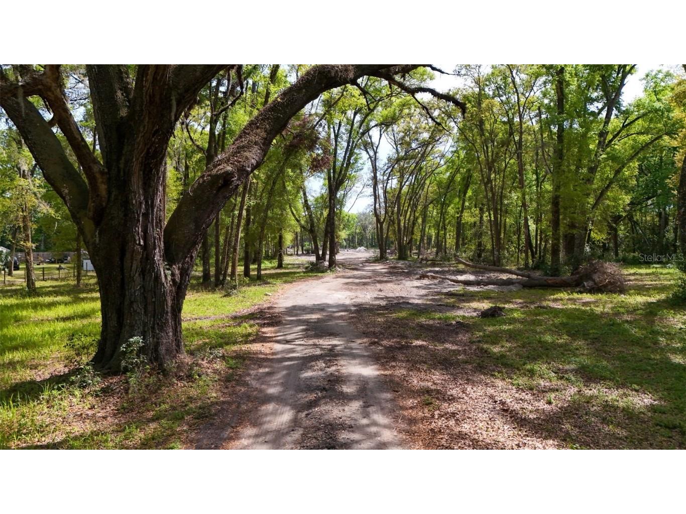 3780 SE 145th Street Summerfield FL 34491 O6293851 image1