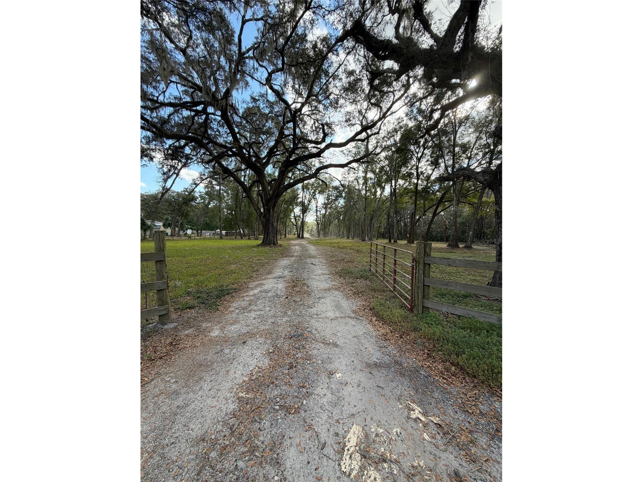 3780 SE 145th Street Summerfield FL 34491 OM717823 image1