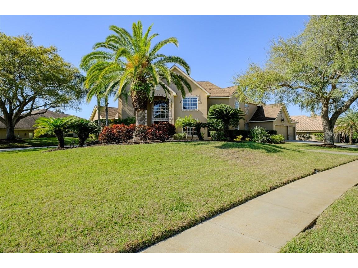 3781 Executive Drive Palm Harbor FL 34685 U8153724 image1