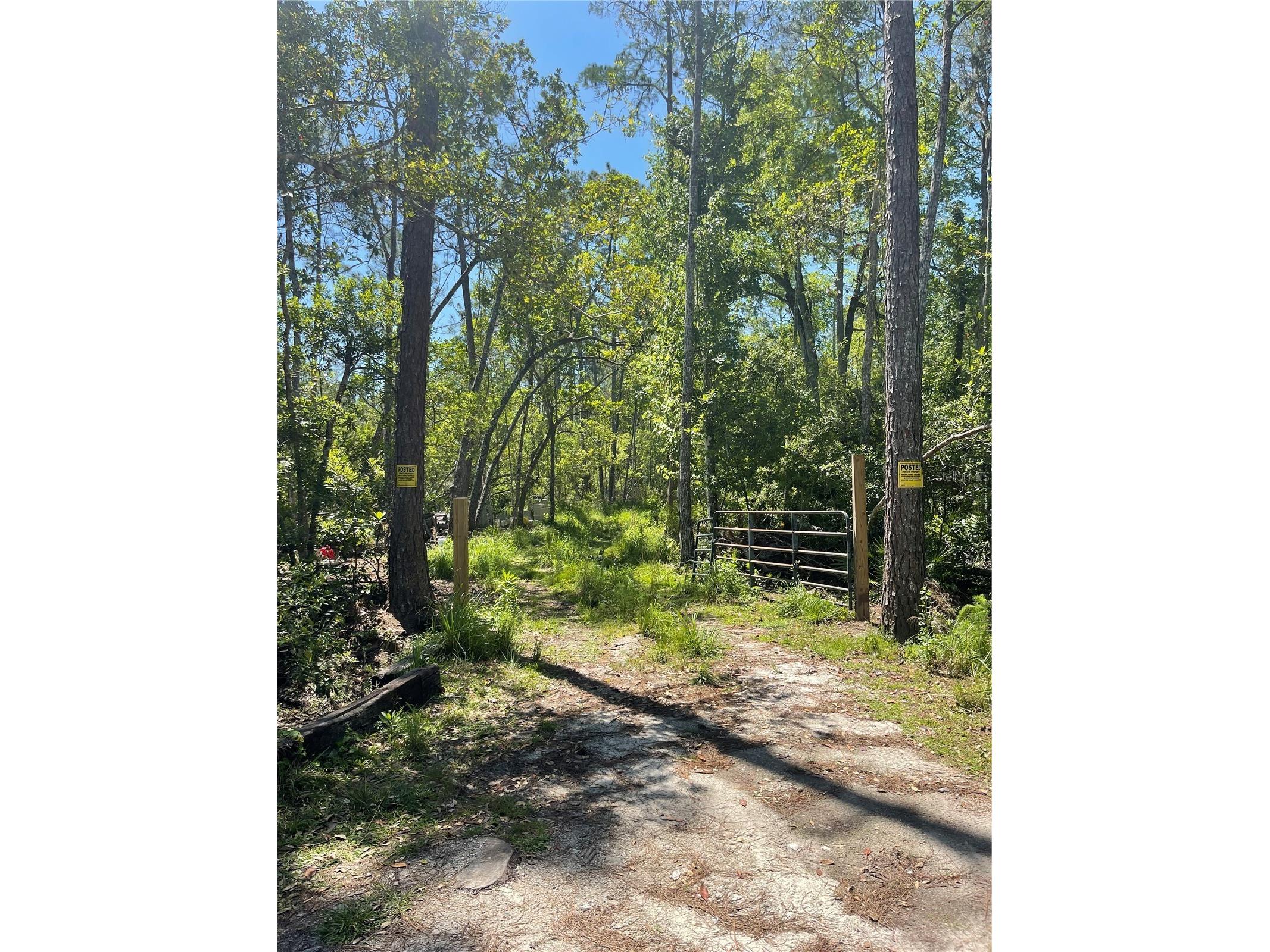 3781 Pine Pitch Court Ormond Beach FL 32174 FC315217 image1