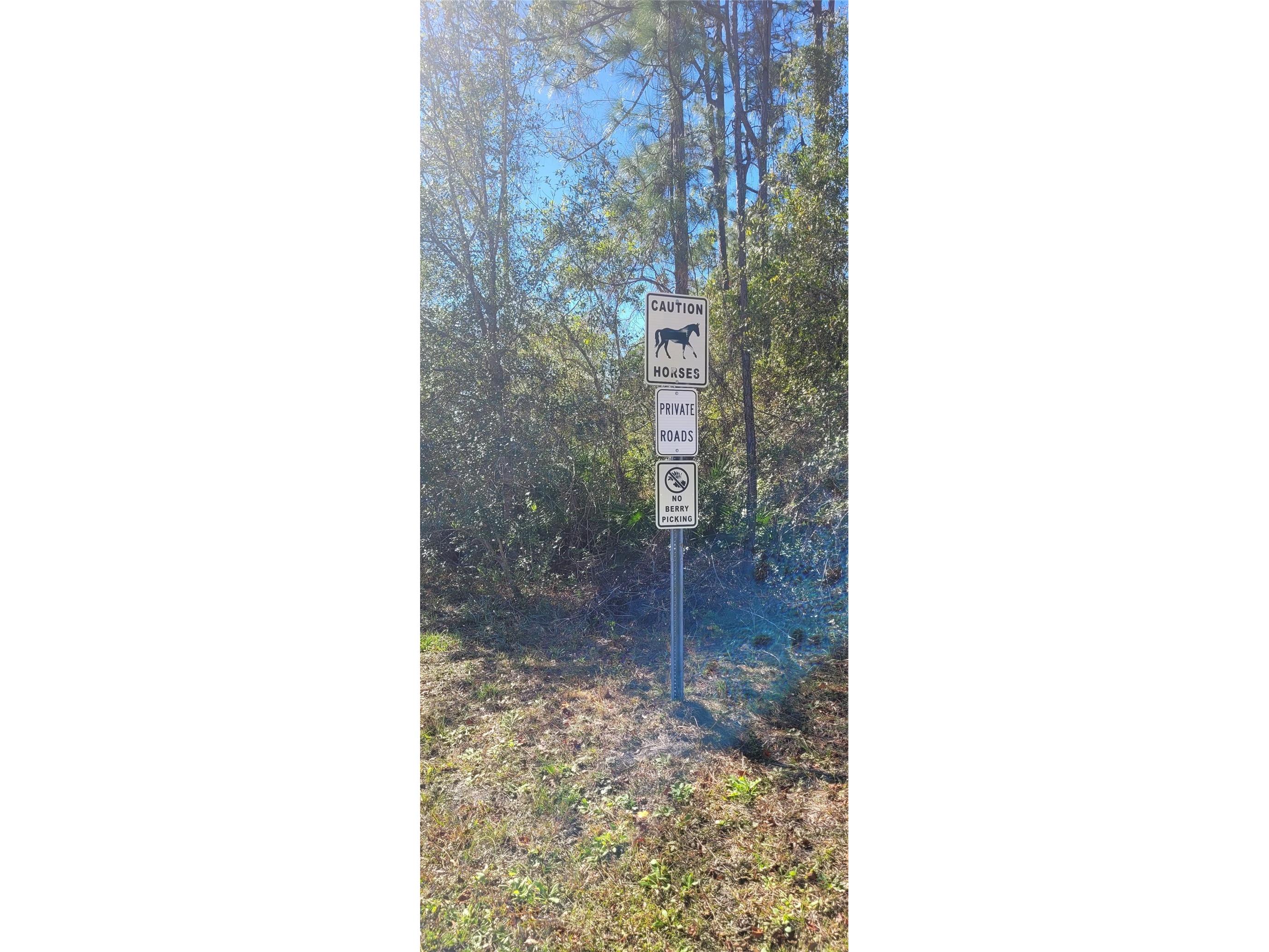 3781 Pine Pitch Court Ormond Beach FL 32174 FC315217 image5