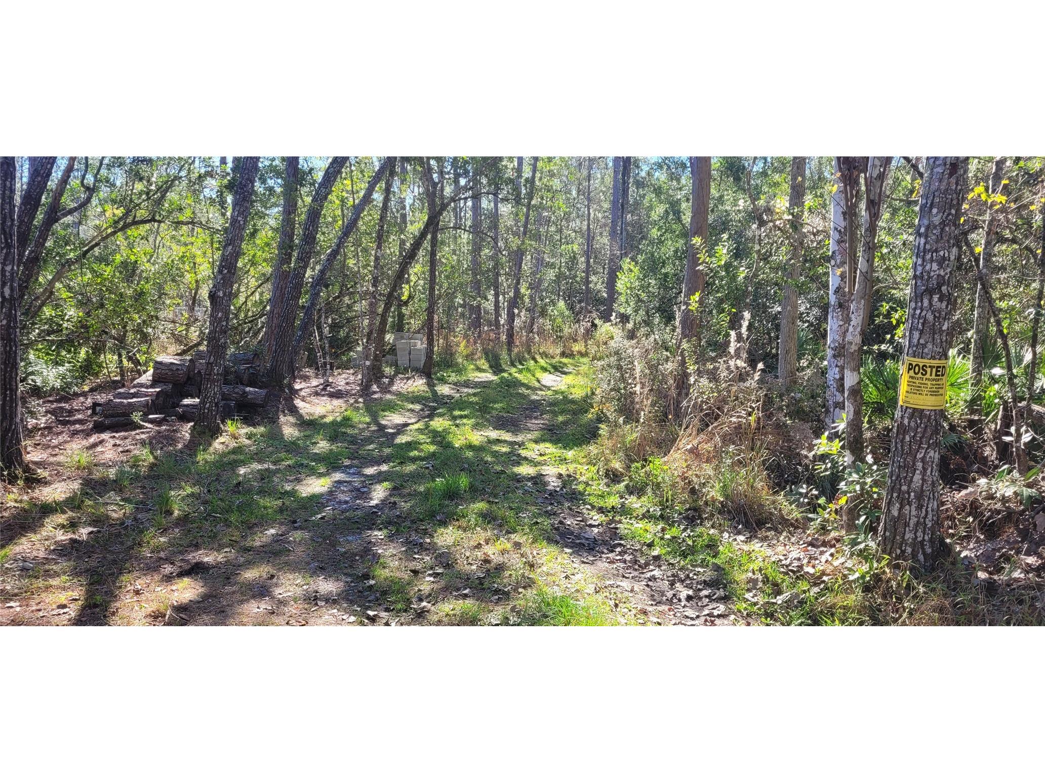 3781 Pine Pitch Court Ormond Beach FL 32174 FC315217 image9