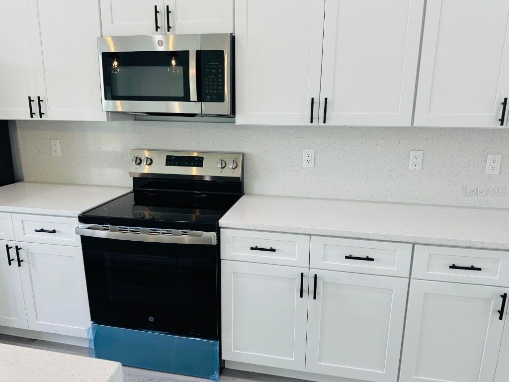 3781 SW 131 St Place Ocala FL 34473 O6353360 image11