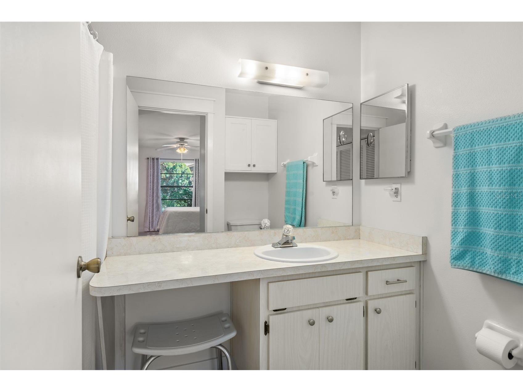 37810 Alissa Drive Zephyrhills FL 33542 TB8498369 image20