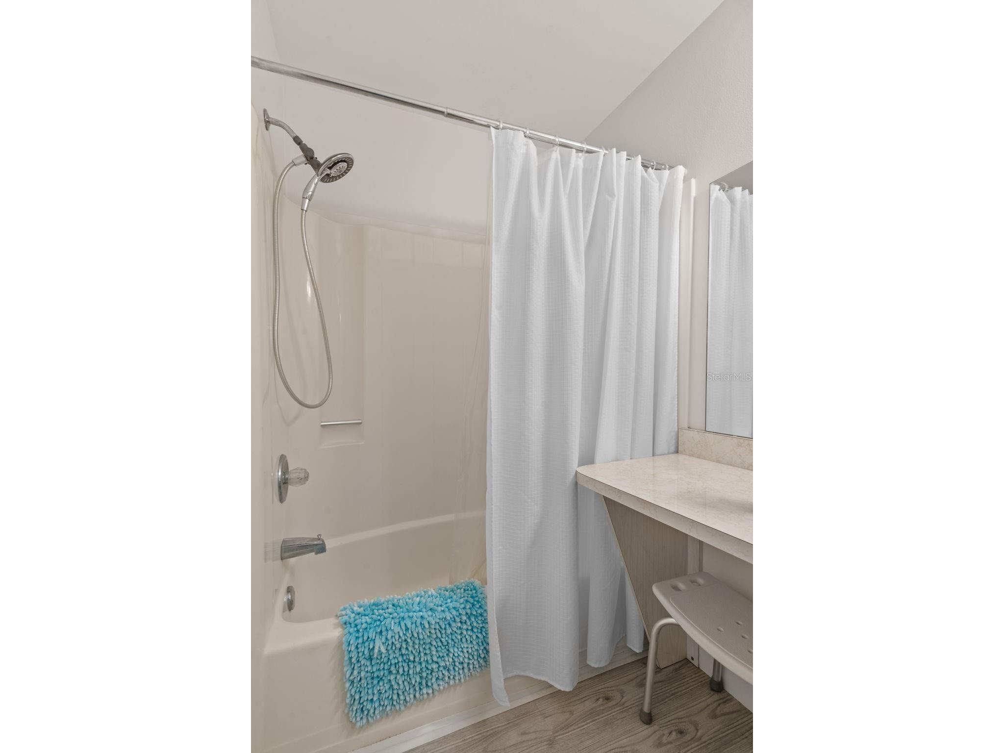 37810 Alissa Drive Zephyrhills FL 33542 TB8498369 image21