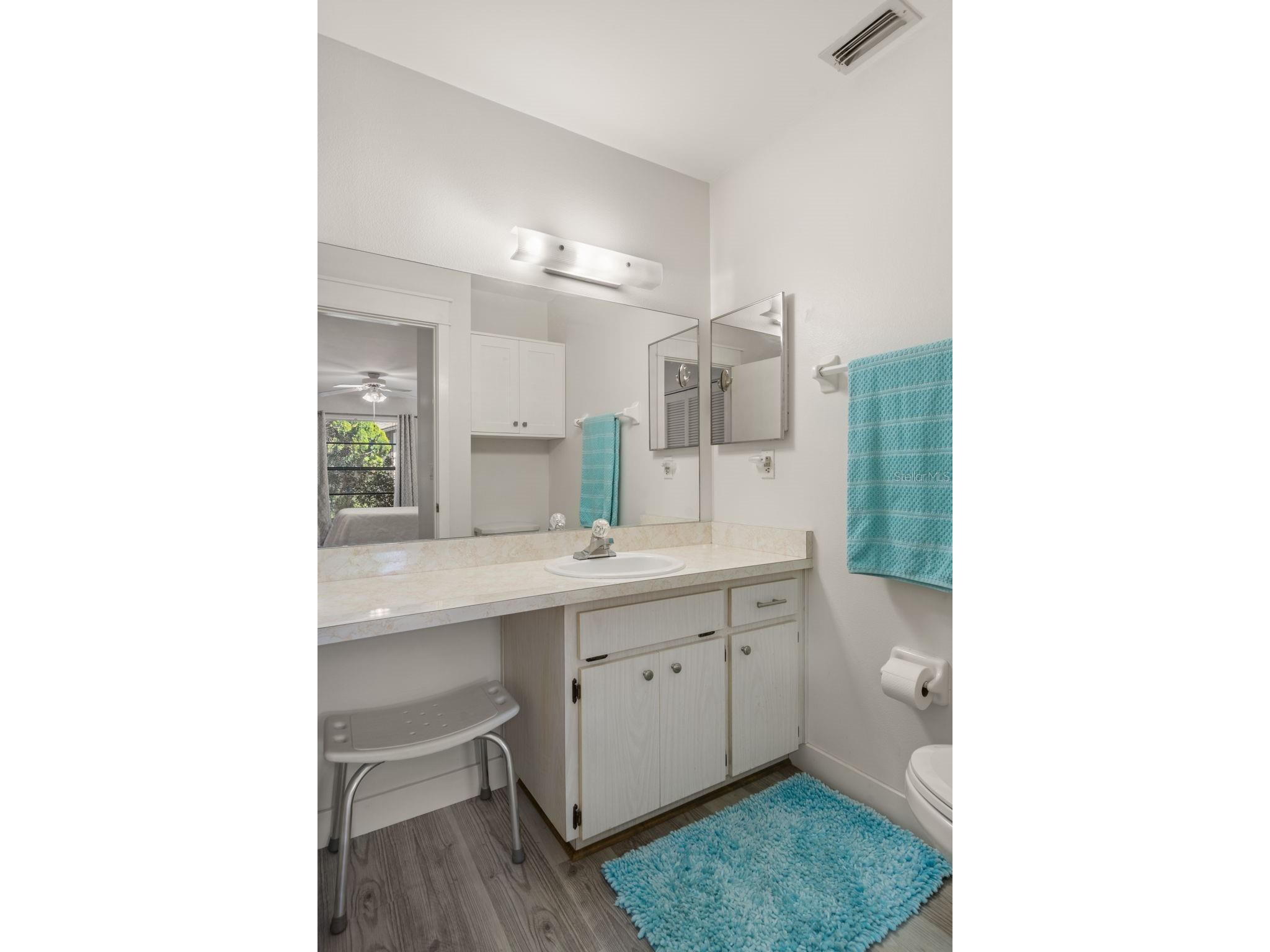 37810 Alissa Drive Zephyrhills FL 33542 TB8498369 image22