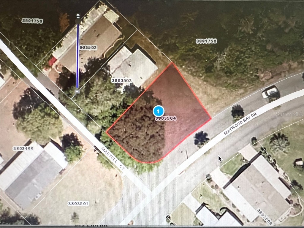 37815 Maywood Bay Drive Leesburg FL 34788 O6192948 image1