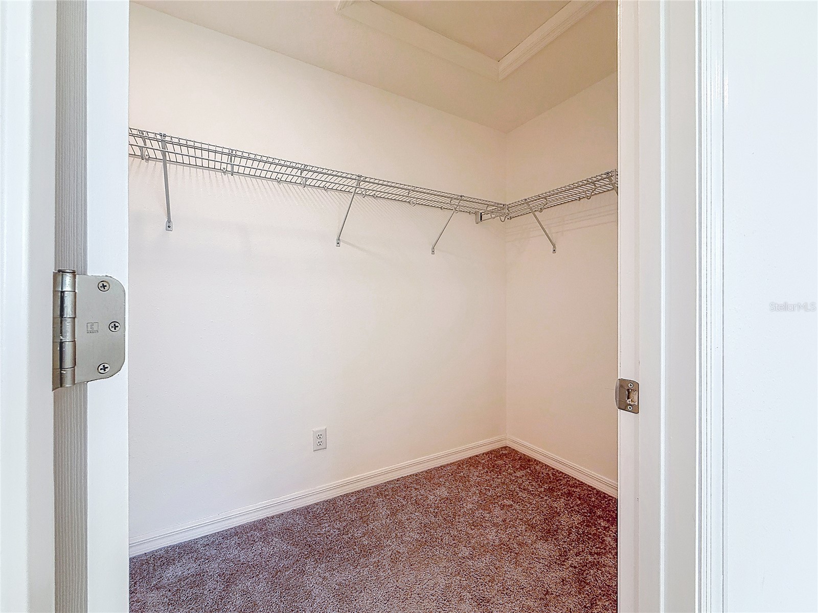 37820 Beacon Brick Drive Zephyrhills FL 33540 TB8482786 image37