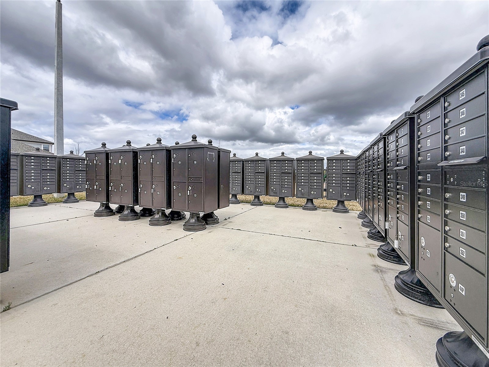 37820 Beacon Brick Drive Zephyrhills FL 33540 TB8482786 image59