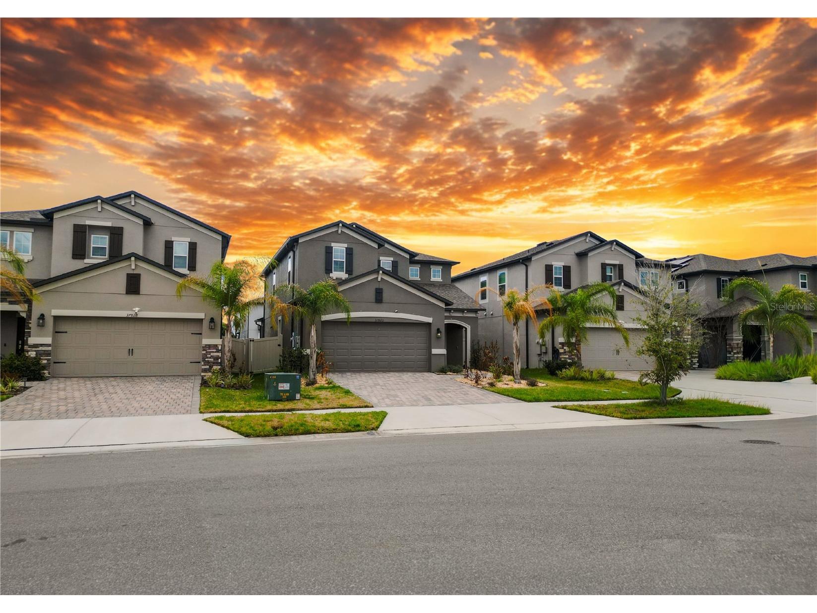 37820 Beacon Brick Drive Zephyrhills FL 33540 TB8482786 image60