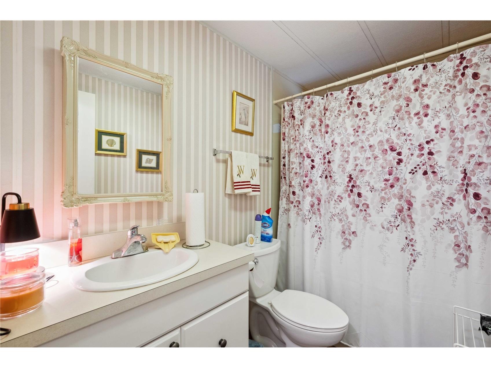 37827 Mission Hills Avenue Zephyrhills FL 33541 TB8485903 image25