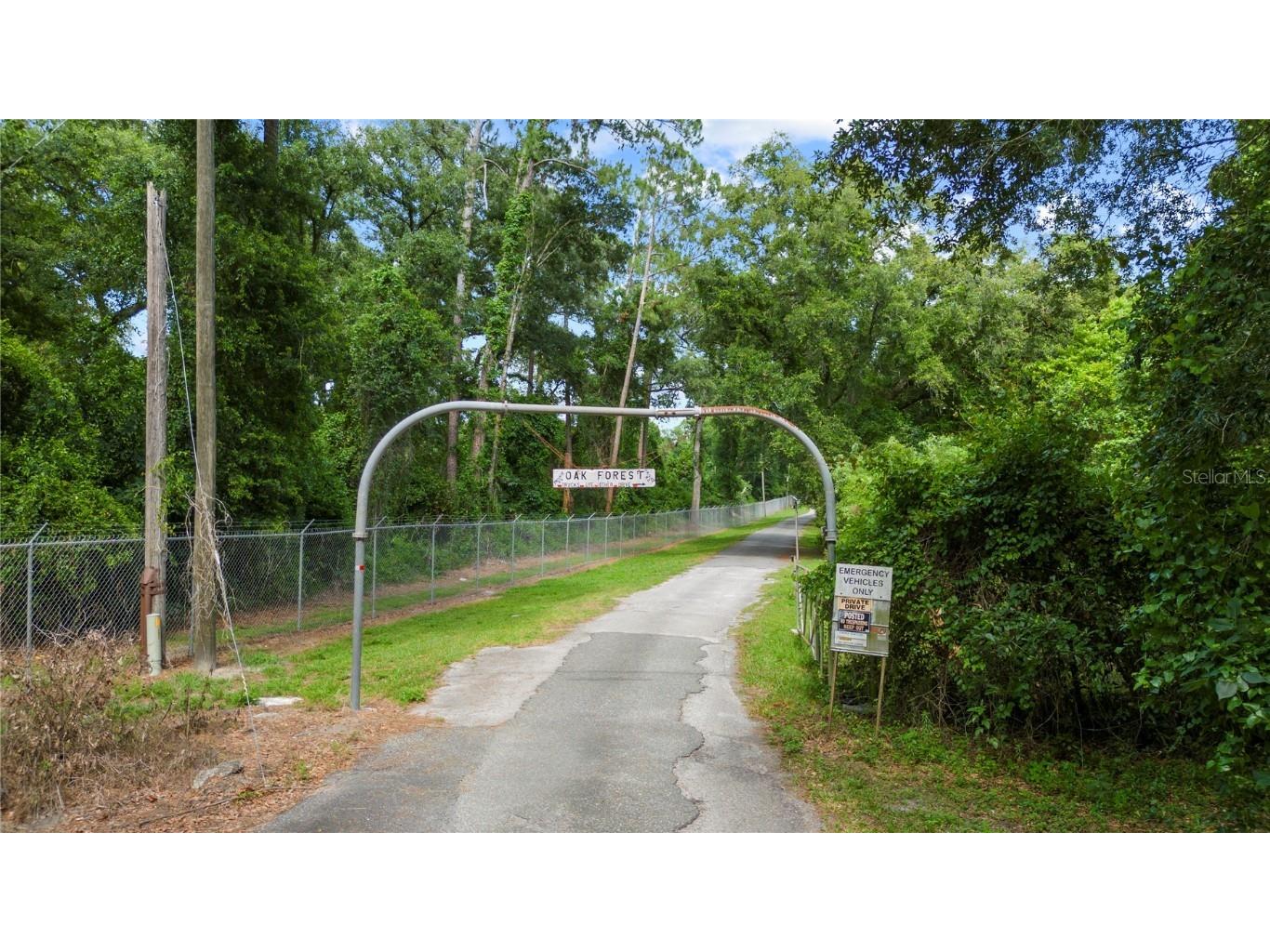 37828378523783637782 Oak Forest Drive Dade City FL 33523 T3525901 image1