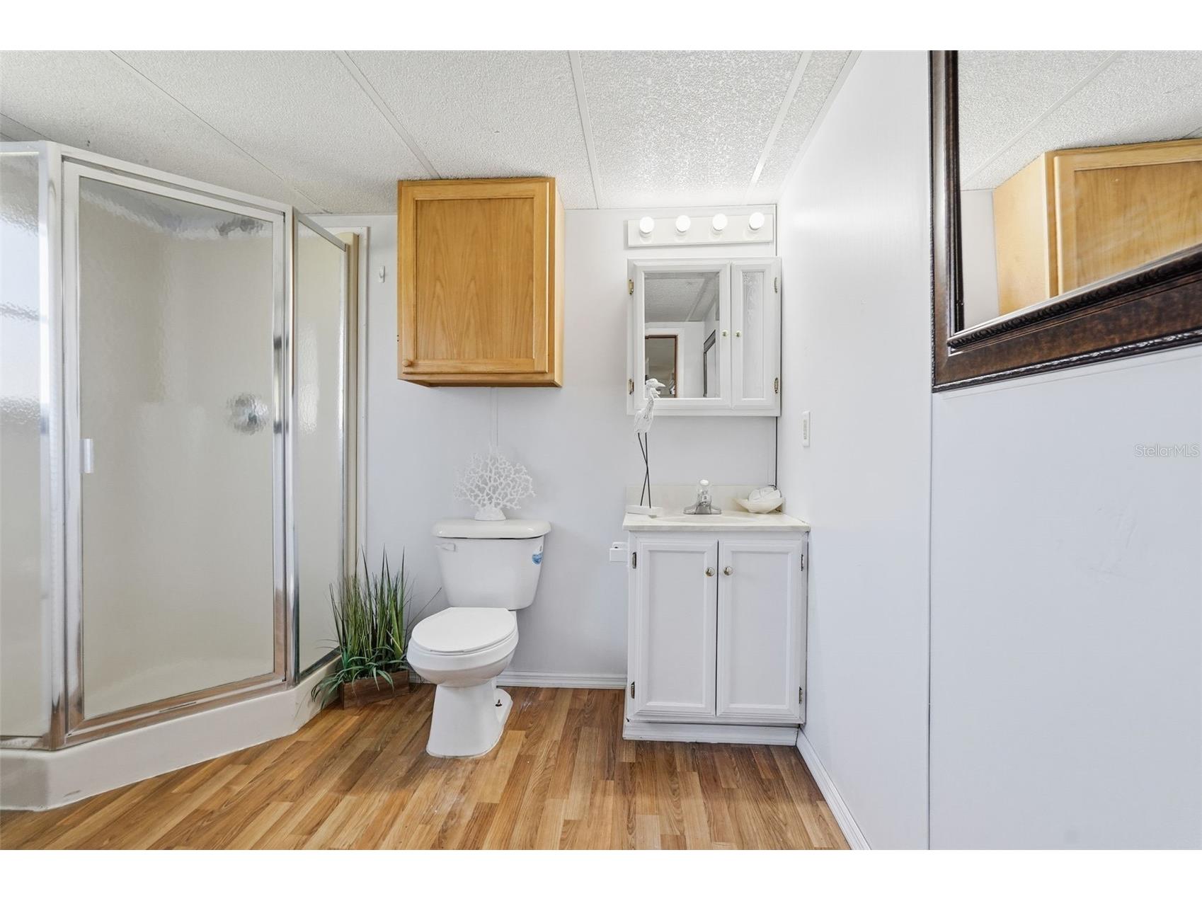 37828 Newal Avenue Zephyrhills FL 33542 TB8448649 image17