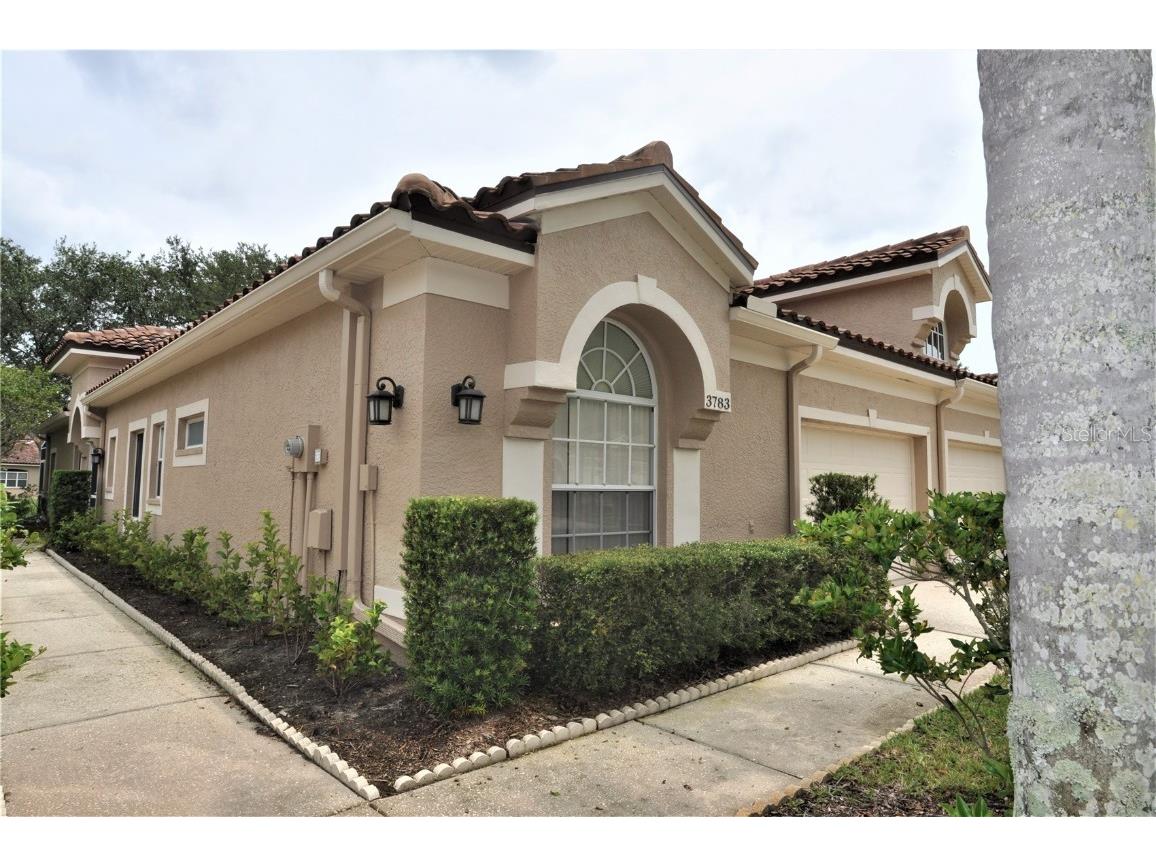 3783 Darston Street Palm Harbor FL 34685 U8208551 image1