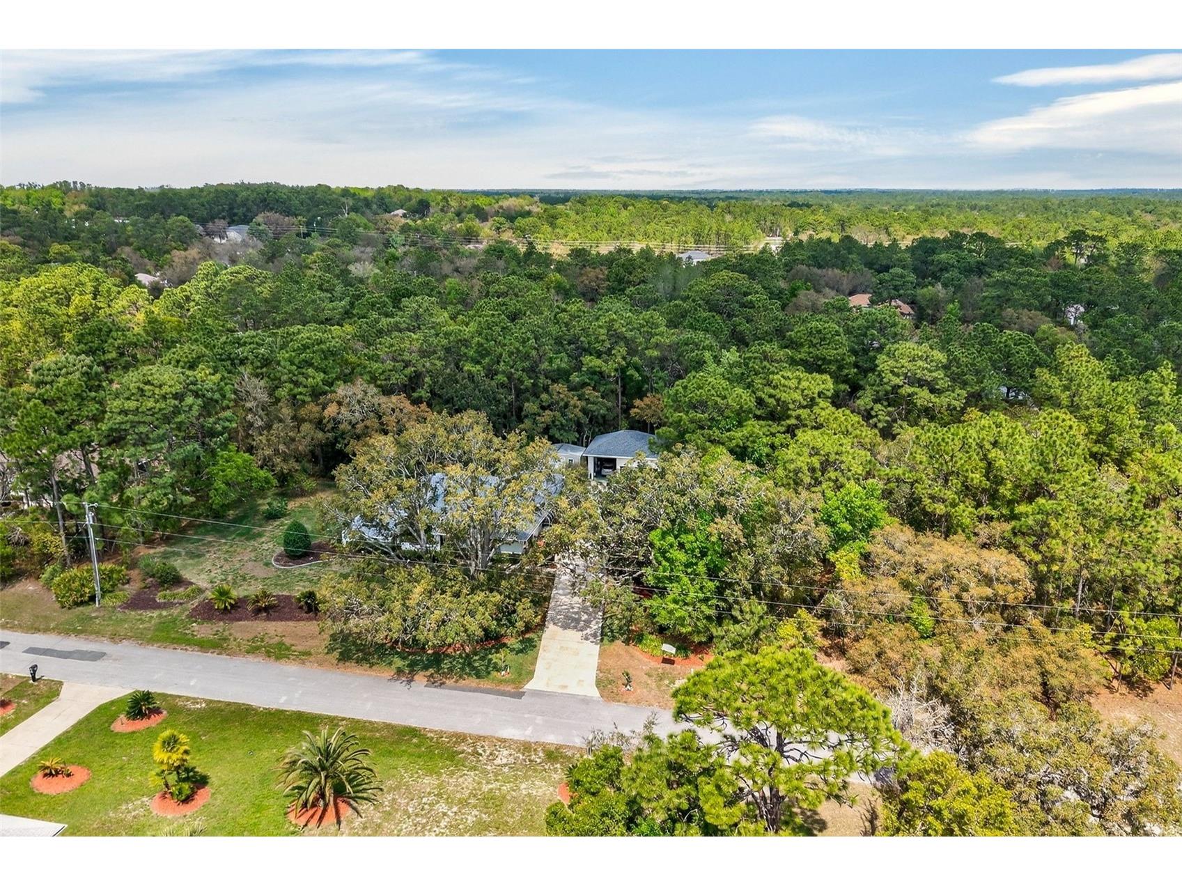 3783 W Birds Nest Drive Beverly Hills FL 34465 OM723048 image65
