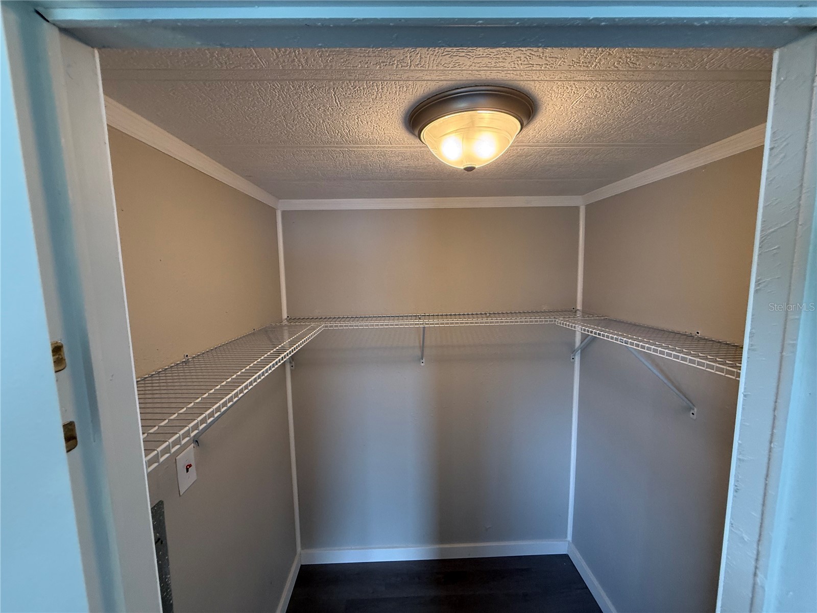 37832 Madeira Avenue Zephyrhills FL 33541 TB8389498 image16