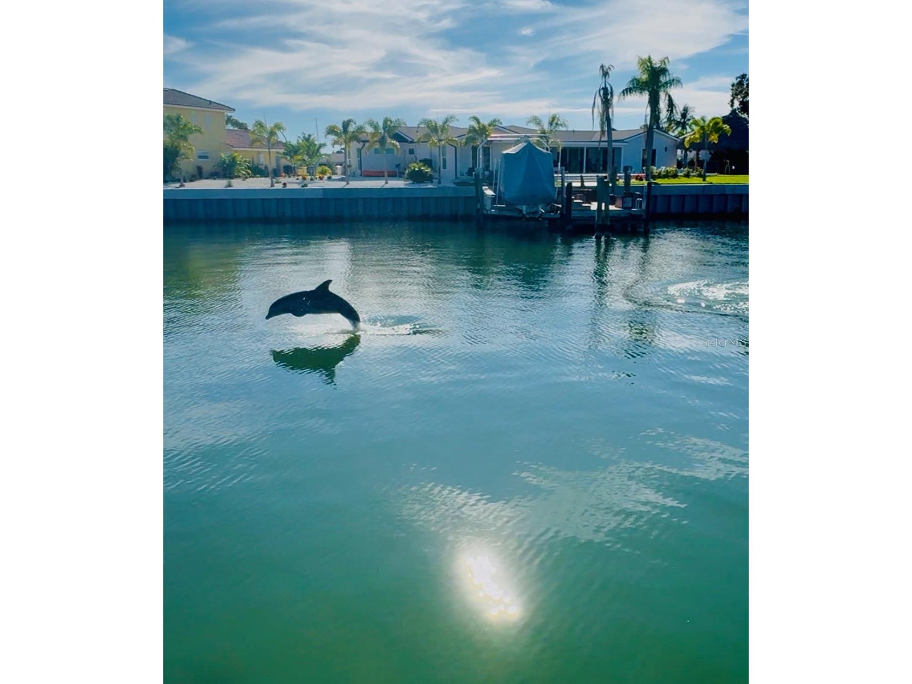 3784 42nd Avenue S Saint Petersburg FL 33711 - BOCA CIEGA BAY TB8466921 image47