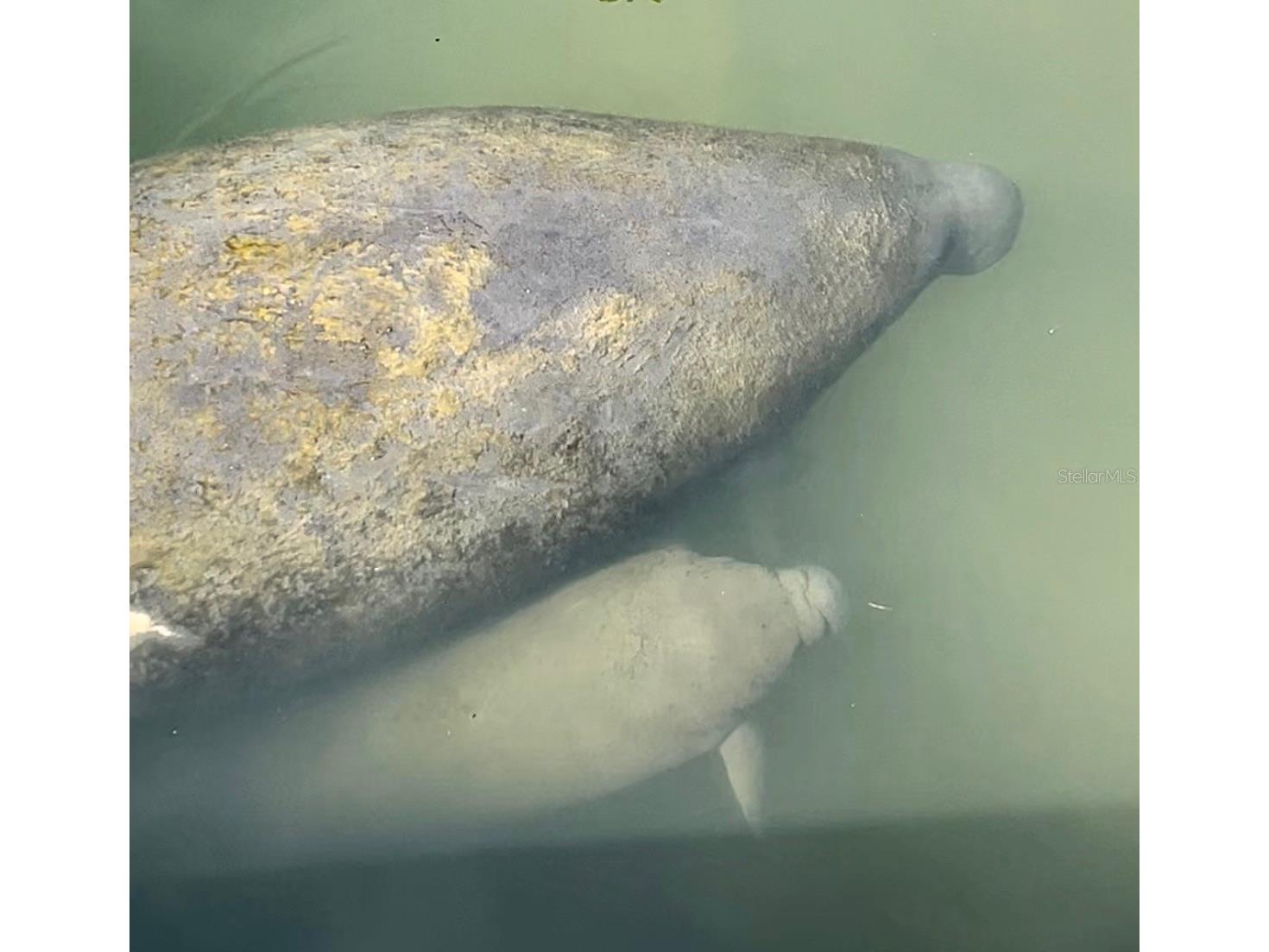 3784 42nd Avenue S Saint Petersburg FL 33711 - BOCA CIEGA BAY TB8466921 image48