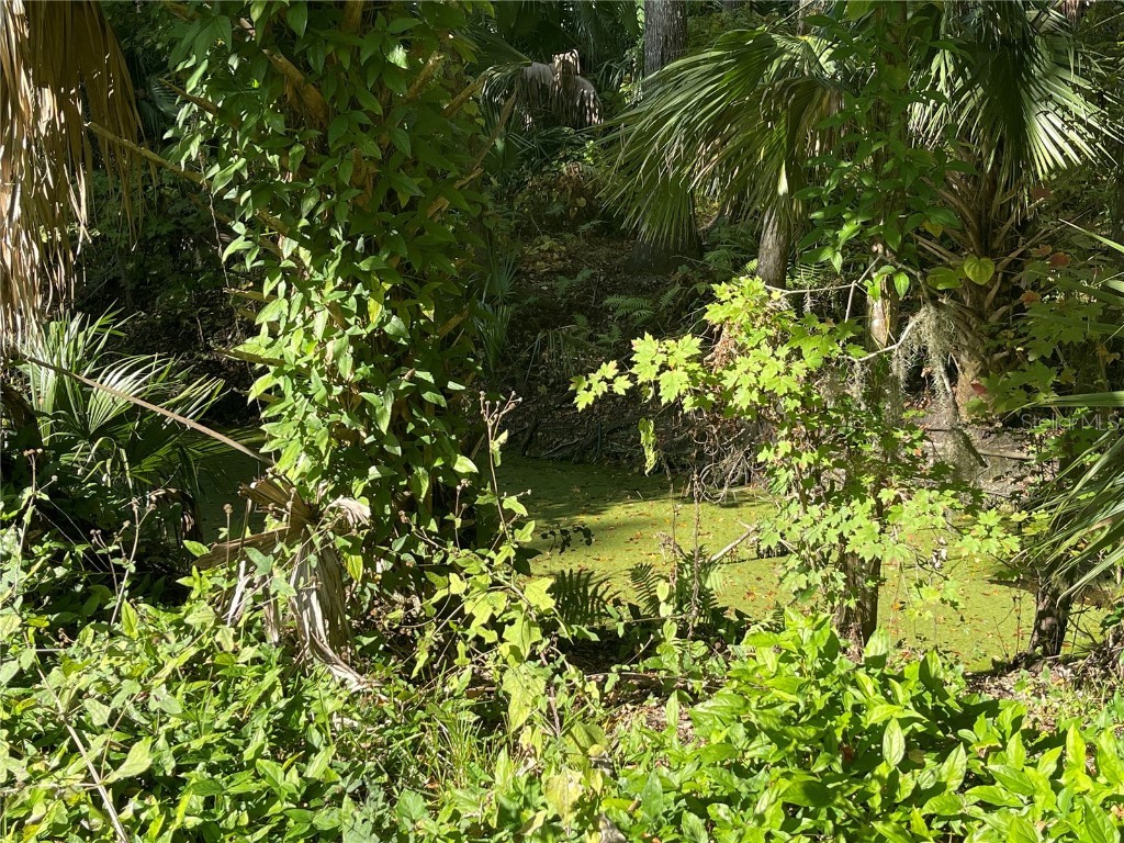 3785 Cr 405n Lake Panasoffkee FL 33538 TB8448799 image4