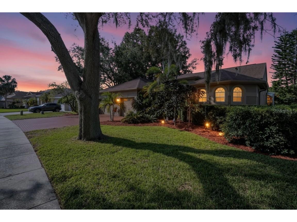 3785 Pendlebury Drive Palm Harbor FL 34685 TB8440603 image1